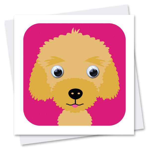 cockapoo birthday card with googly eyes