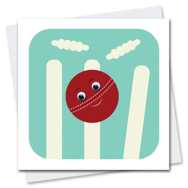 children's birthday card featuring Craig cricket ball